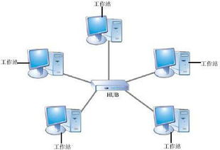 西城高级中学网络技术应用模块期末试题解析 计算机软硬件技术开发